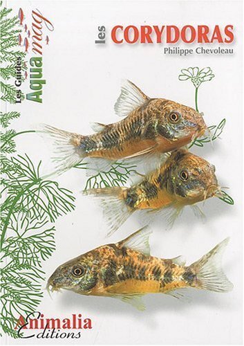 Image de Les corydoras - Corydoras aeneus, paleatus & cie