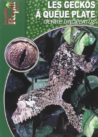 Image de Les geckos à queue plate - le genre uroplatus