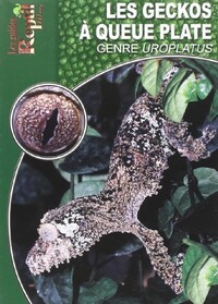 Image de Les geckos à queue plate - le genre uroplatus