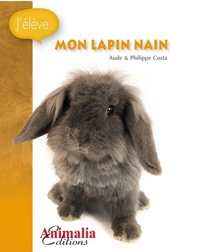 Image de Mon lapin nain