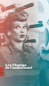 Image de Les champs de l'audiovisuel - pour une esthétique industrielle des images en mouvement