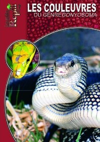Image de Les couleuvres du genre Gonyosoma