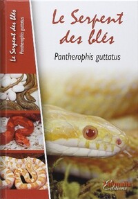 Image de Le serpent des blés - Pantherophis guttatus