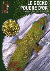 Image de Le gecko poudre d'or - phelsuma laticauda