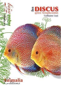 Image de Les discus, genre Symphysodon
