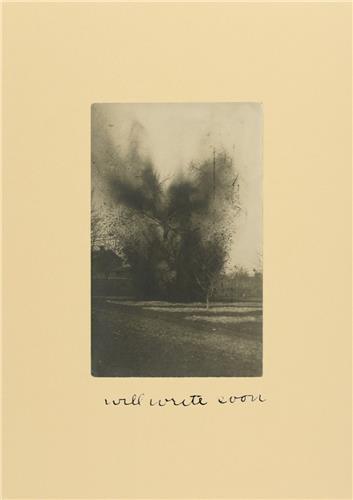 Picture of Will Write Soon /anglais