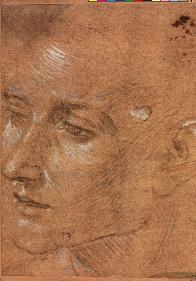 Image de FLANER A DELPHES
