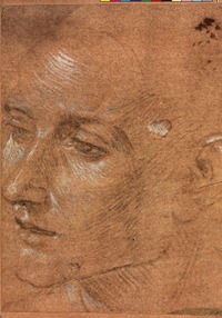 Picture of FLANER A DELPHES