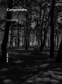 Image de Comprendre