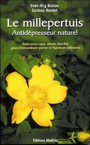 Image de Le millepertuis - Antidépresseur naturel