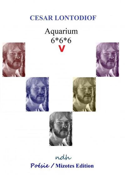 Picture of Aquarium 6*6*6 V