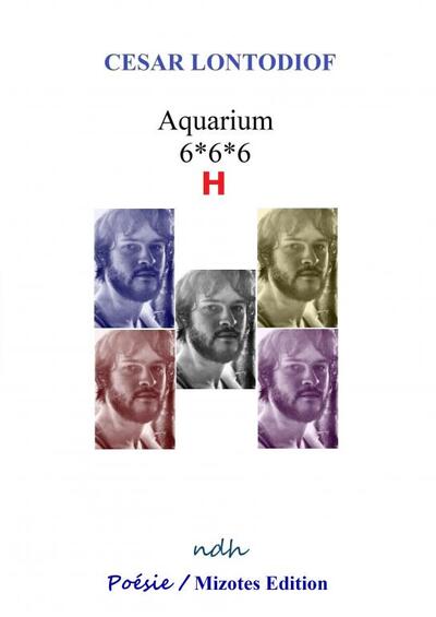 Picture of Aquarium 6*6*6 H