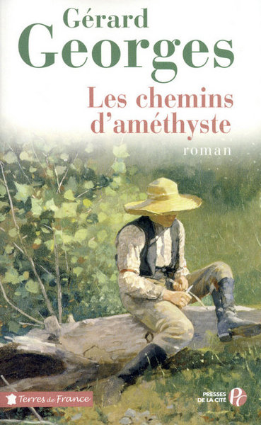Image de Les chemins de l'améthyste