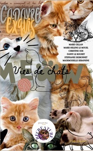 Image de Vies de chats