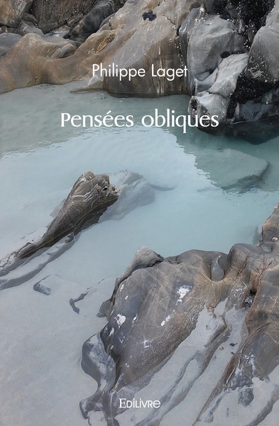 Picture of Pensées obliques