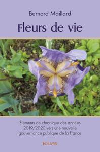 Picture of Fleurs de vie