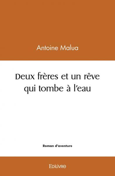 Picture of Deux frères et un rêve qui tombe à l'eau
