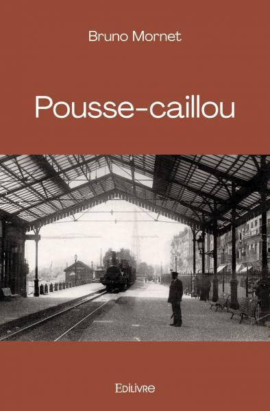 Image de Pousse caillou