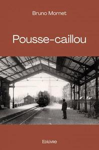 Image de Pousse caillou