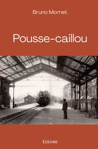 Picture of Pousse-caillou