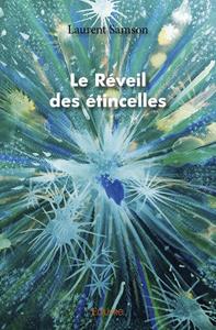 Picture of Le réveil des étincelles