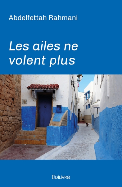 Image de Les ailes ne volent plus