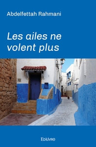 Image de Les ailes ne volent plus