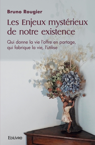 Image de Les Enjeux mystérieux de notre existence