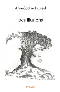 Picture of Des illusions