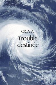 Image de Trouble destinée
