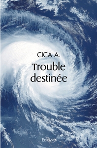 Image de Trouble destinée