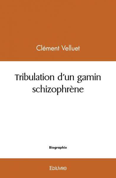 Image de Tribulation d'un gamin schizophrène