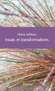 Picture of Essais et transformations