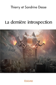 Image de La dernière introspection