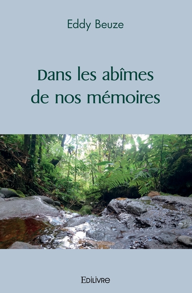 Image de Dans les abîmes de nos mémoires