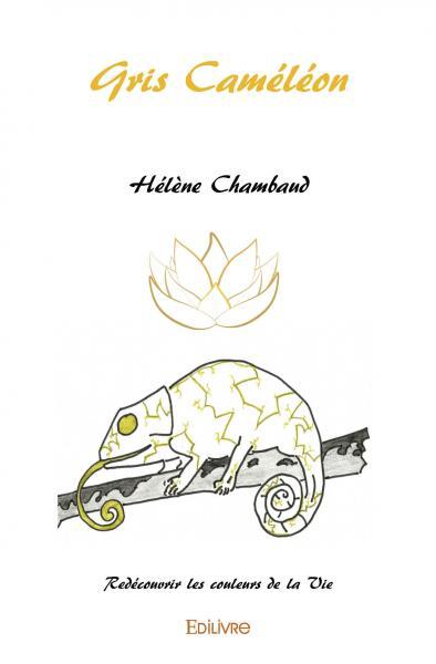 Image de Gris caméléon
