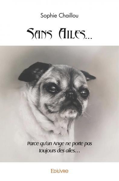 Image de Sans ailes…