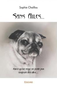 Image de Sans ailes…