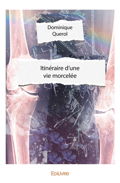 Image de Itinéraire d'une vie morcelée