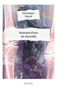 Image de Itinéraire d'une vie morcelée