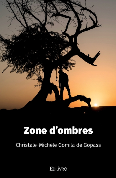 Picture of ZONE D'OMBRES !