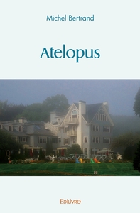 Picture of Atelopus