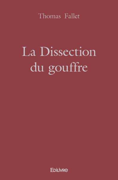 Image de La dissection du gouffre
