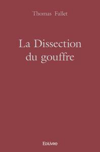 Image de La dissection du gouffre