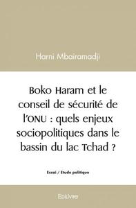 Picture of Boko haram et le conseil de sécurité de l’onu : quels enjeux sociopolitiques dans le bassin du lac tchad ?