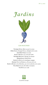 Picture of Jardins n°10 - Les racines