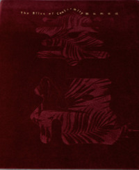 Image de The Bliss of Conformity