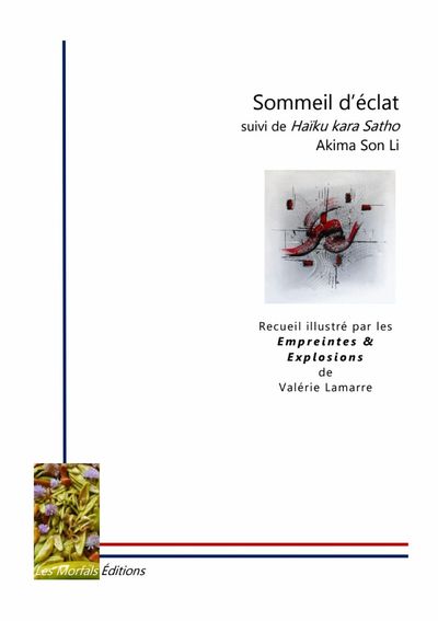 Image de Sommeil d'éclat suivi de Haïku Kara Satho