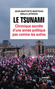 Image de Le tsunami