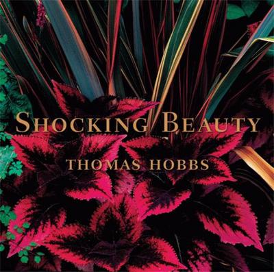 Picture of Shocking Beauty (Hardback) /anglais